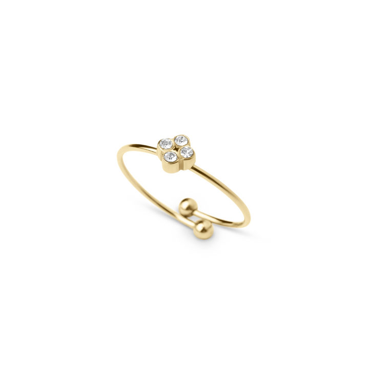 ANILLO LIVELY
