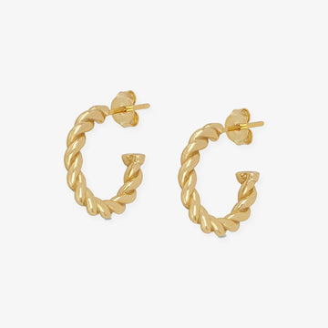 PENDIENTES ESPIGA