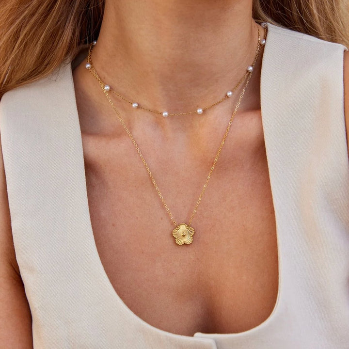 Collar Nura